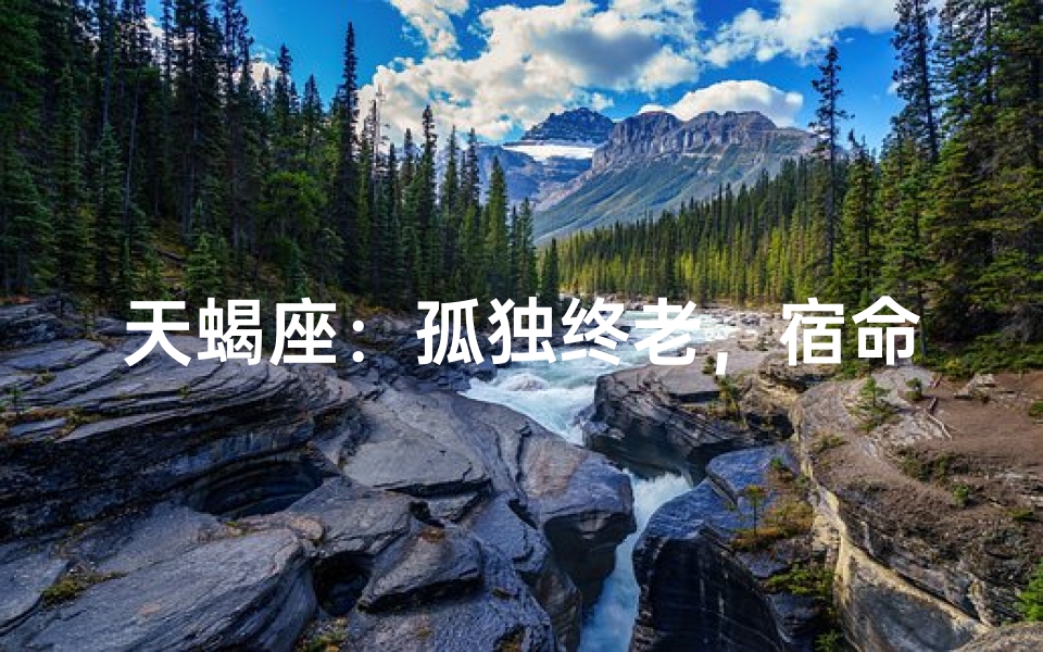 天蝎座：孤独终老，宿命还是选择？