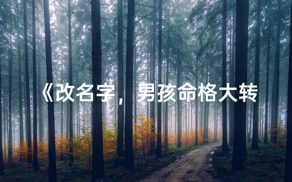 《改名字，男孩命格大转变之谜》