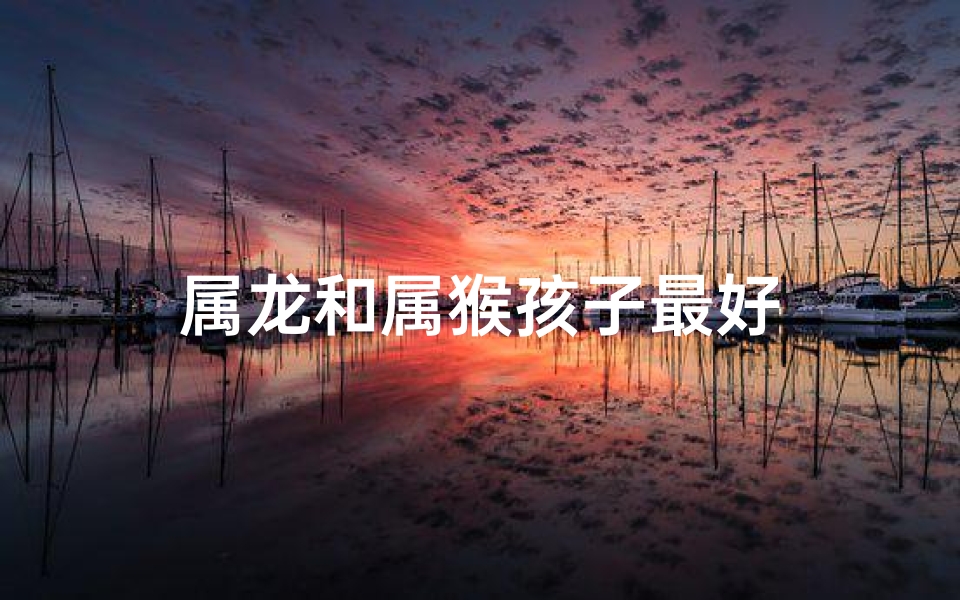 属龙和属猴孩子最好