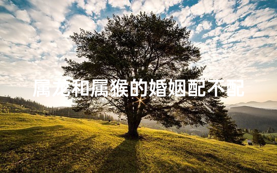 属龙和属猴的婚姻配不配;属龙和属猴的婚姻配不配呢