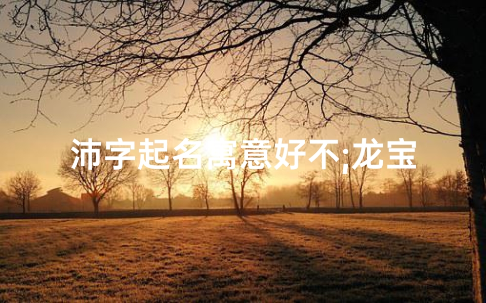 沛字起名寓意好不;龙宝宝取名：沛字彰显蓬勃生机