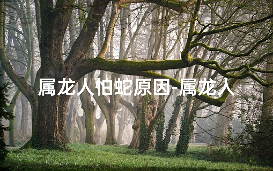 属龙人怕蛇原因-属龙人胆大心细：鬼神难挡，无畏挑战