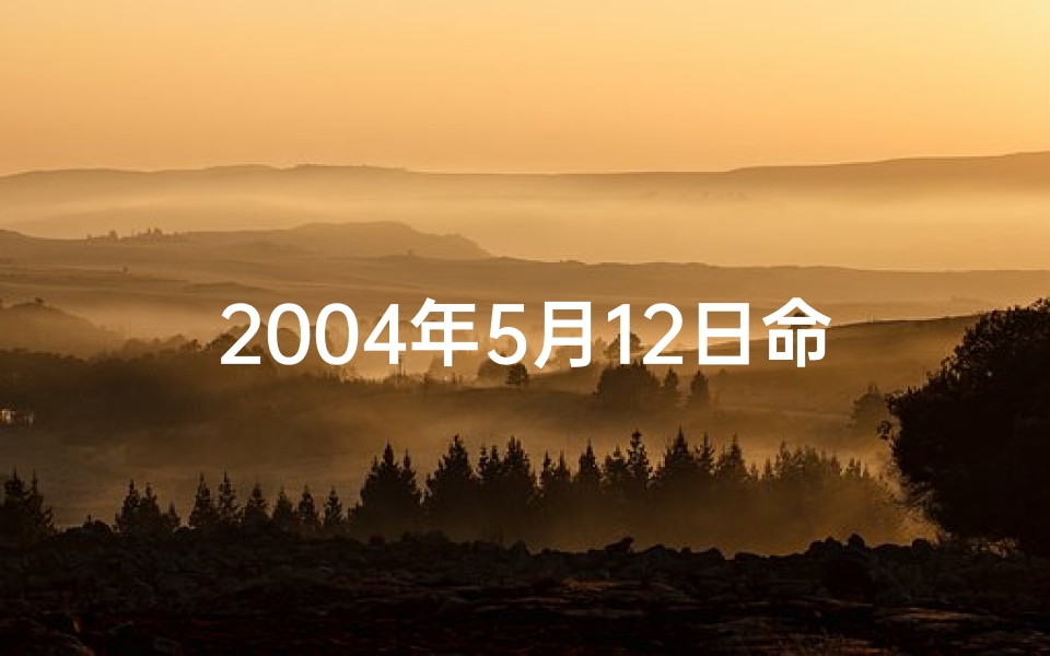 2004年5月12日命格-2004年5月12日：命运转折的纪念日