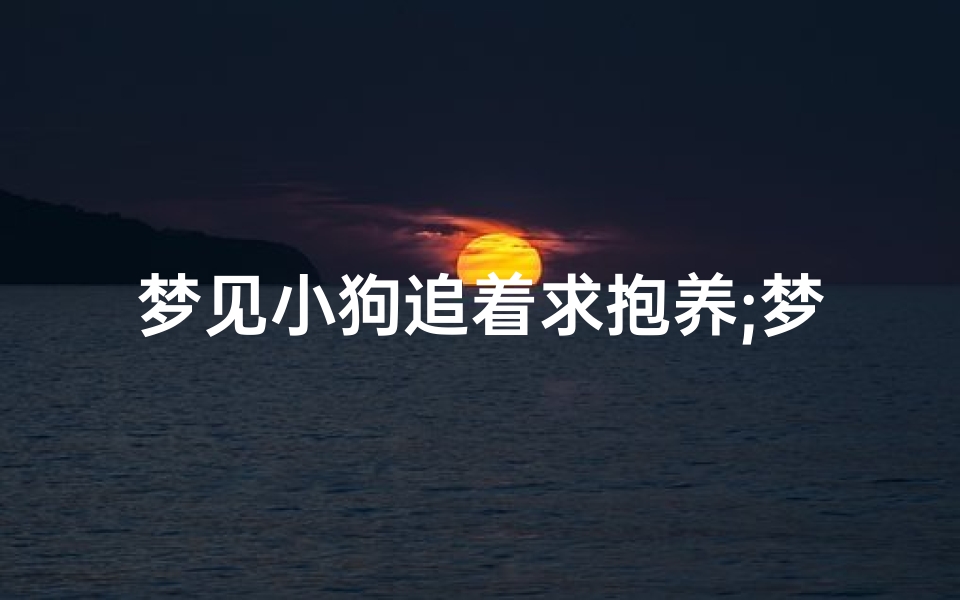 梦见小狗追着求抱养;梦见小狗求抱抱