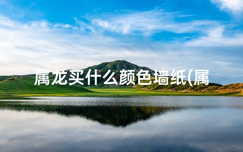 属龙买什么颜色墙纸(属龙用什么颜色招财)