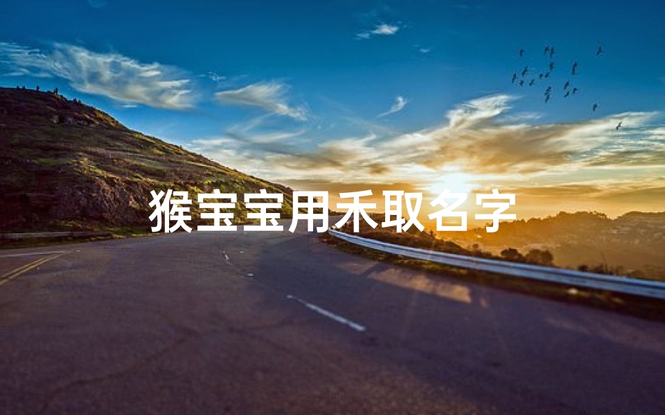 猴宝宝用禾取名字