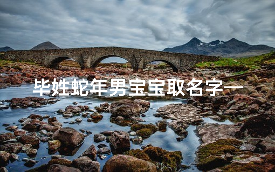 毕姓蛇年男宝宝取名字—毕姓蛇年男宝宝：吉祥如意好名字推荐