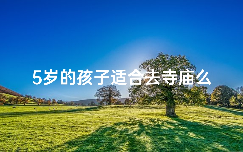 5岁的孩子适合去寺庙么;5岁孩子能进寺庙吗