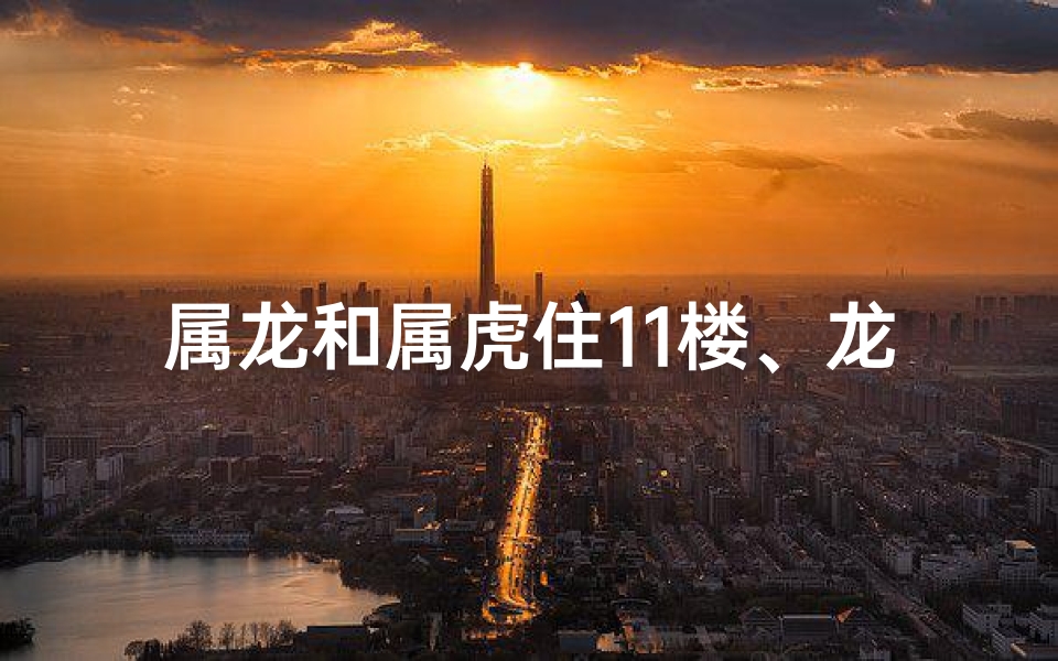 属龙和属虎住11楼、龙虎11楼：共筑非凡家园