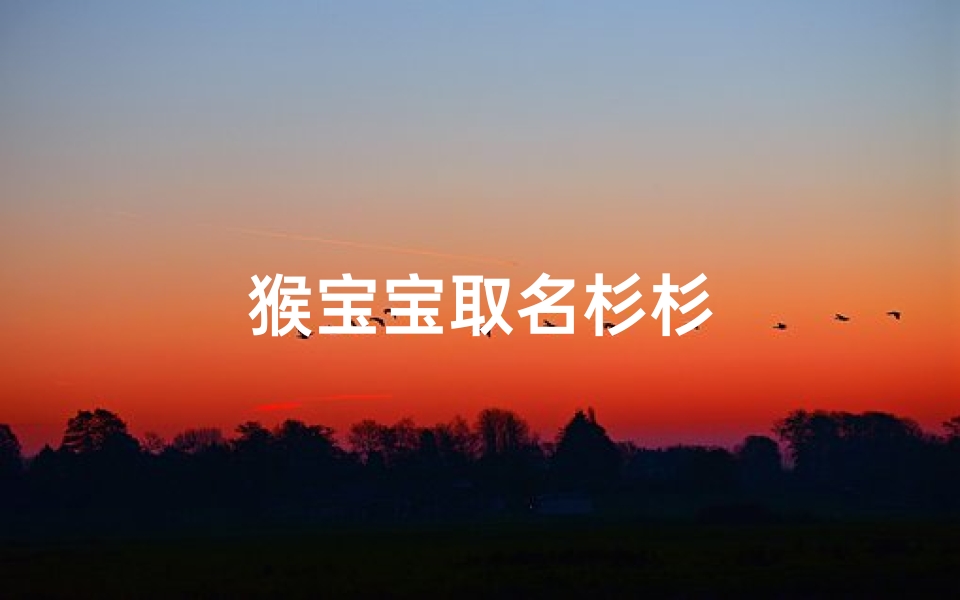 猴宝宝取名杉杉