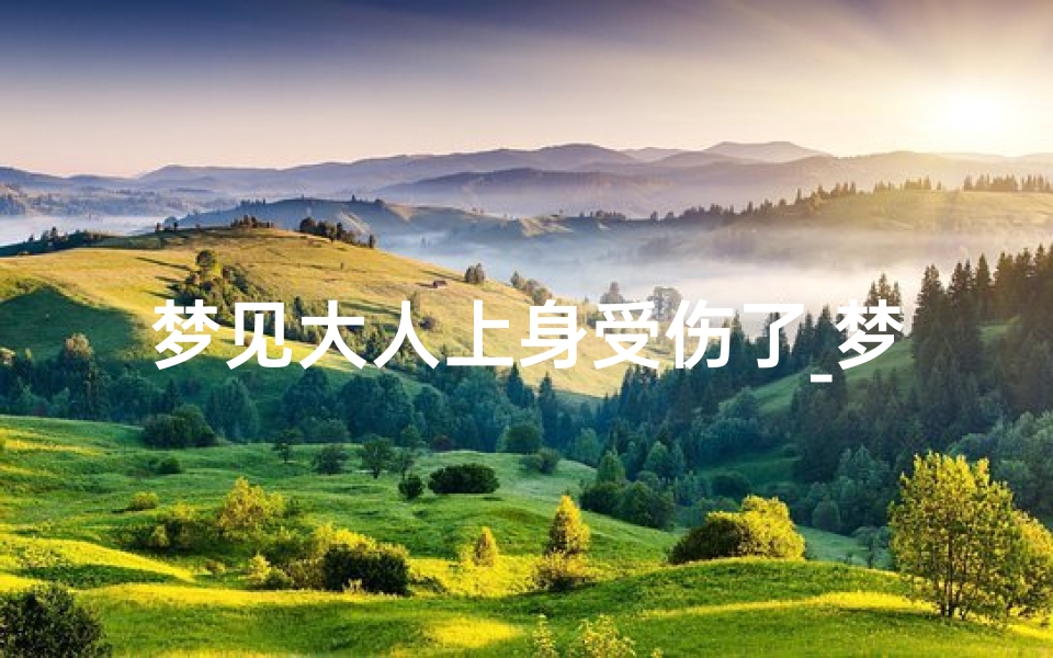 梦见大人上身受伤了_梦到亲人身上有伤