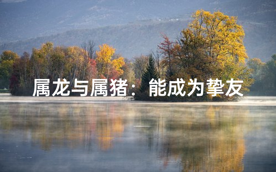 属龙与属猪：能成为挚友的缘分吗？