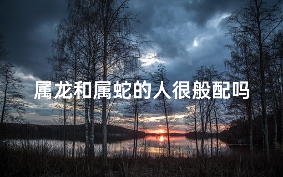 属龙和属蛇的人很般配吗