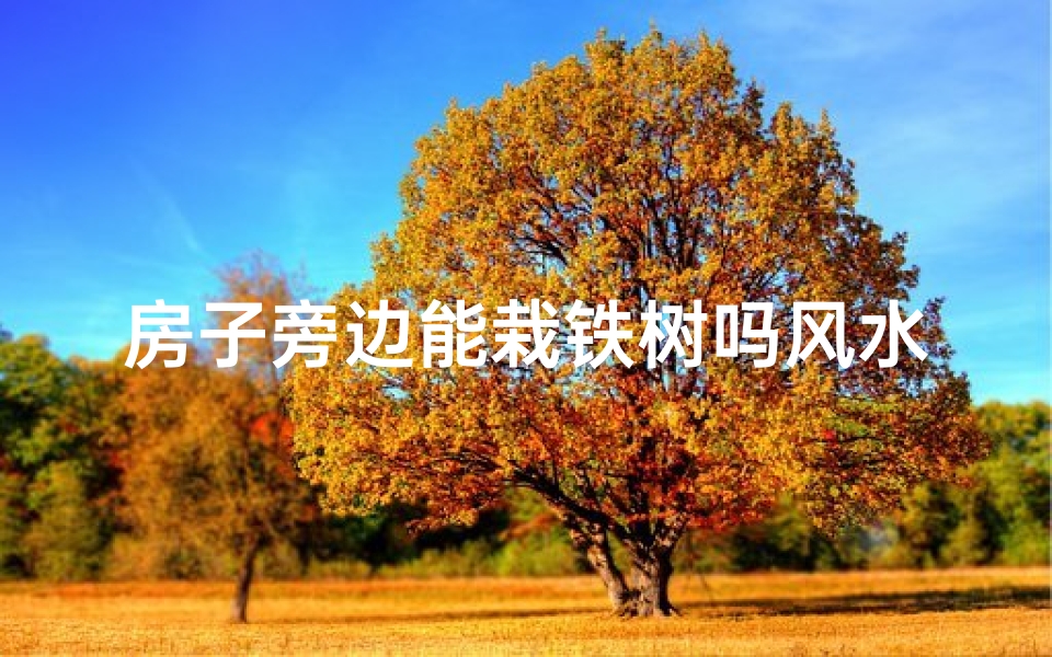 房子旁边能栽铁树吗风水_房子旁种铁树风水解析：宜忌全揭秘