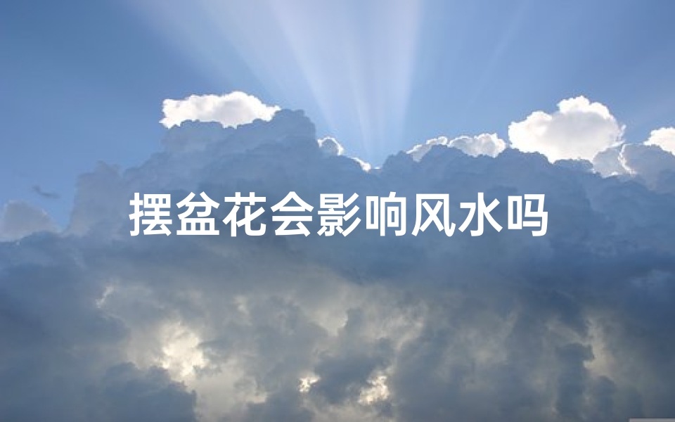 摆盆花会影响风水吗