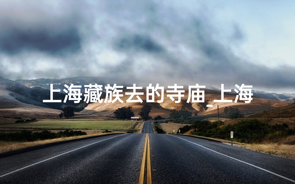 上海藏族去的寺庙_上海藏传寺庙