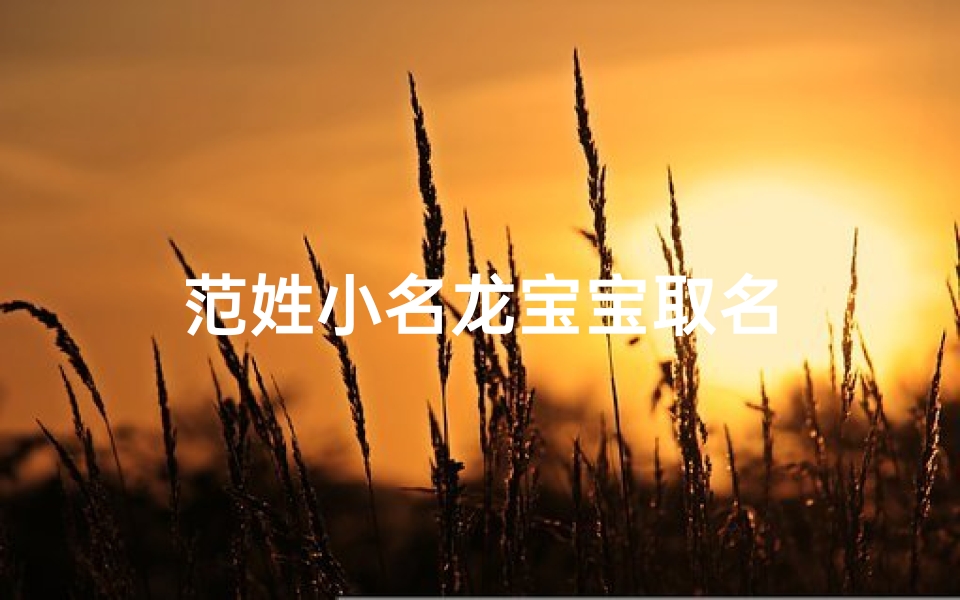 范姓小名龙宝宝取名