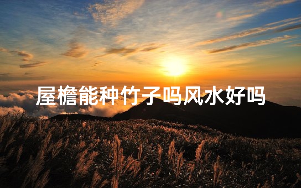 屋檐能种竹子吗风水好吗、屋檐下能不能种植物