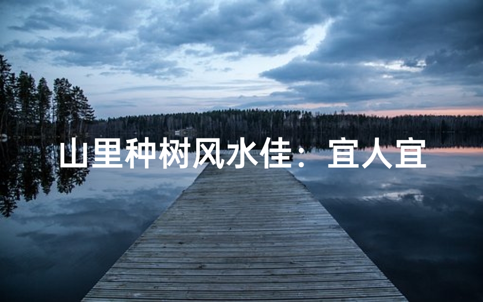 山里种树风水佳：宜人宜居好风水