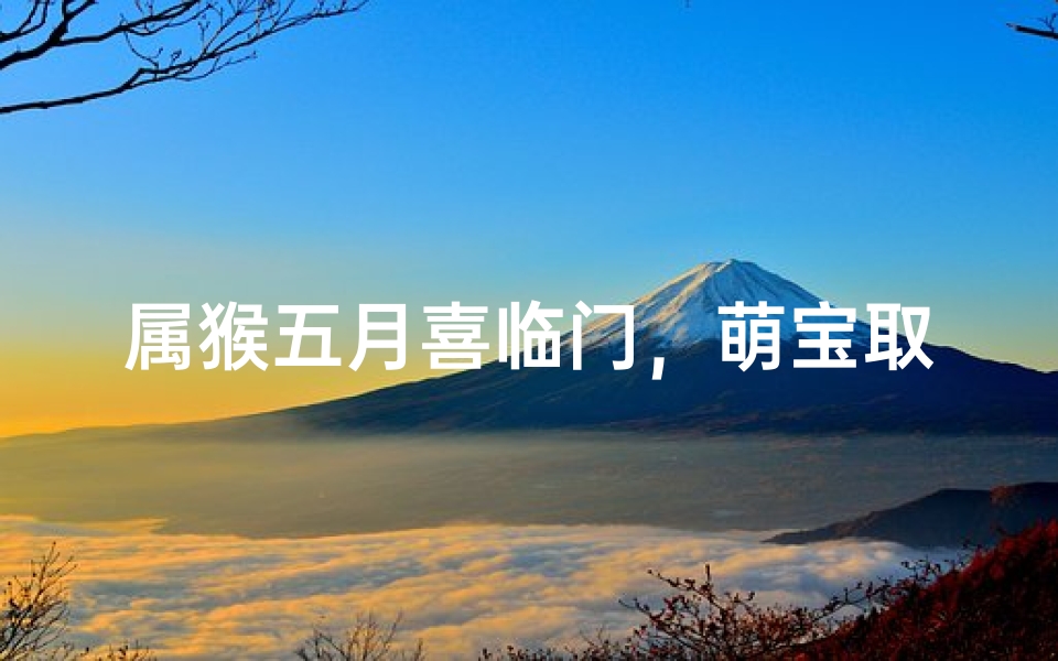 属猴五月喜临门，萌宝取名乐无边