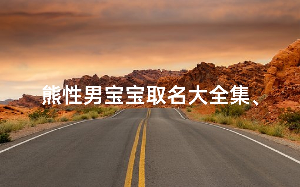 熊性男宝宝取名大全集、《熊性男宝宝取名大全：温馨创意精选》