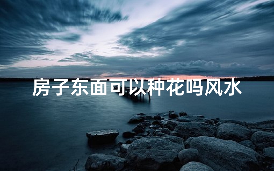 房子东面可以种花吗风水(房子东面可以种花吗风水讲究)