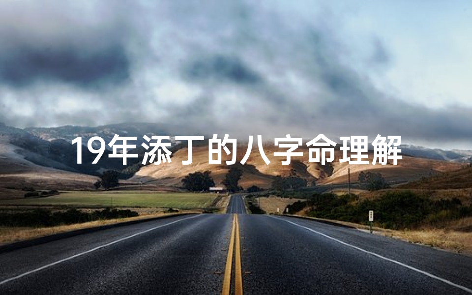 19年添丁的八字命理解释,19年添丁的八字命理解释是什么