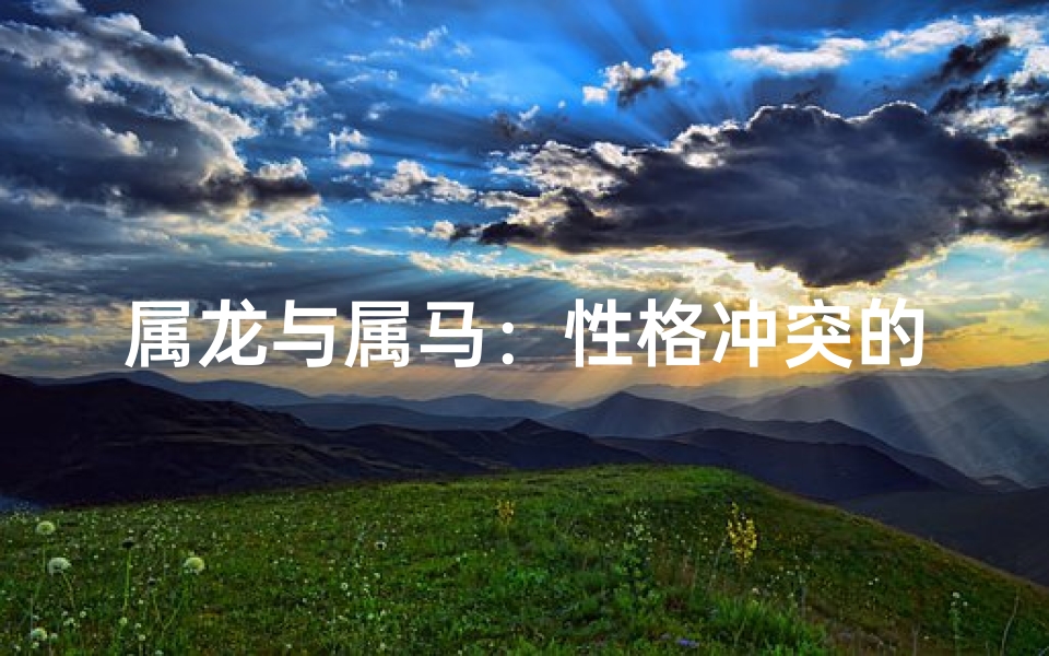 属龙与属马：性格冲突的火花碰撞