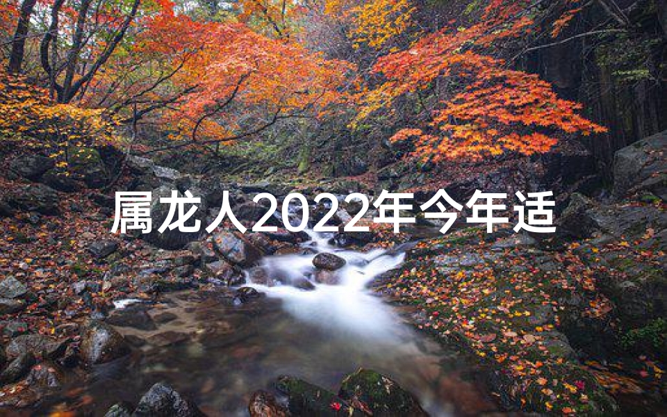 属龙人2022年今年适合开店吗