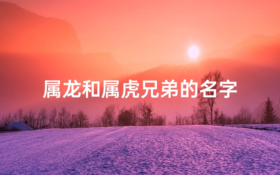 属龙和属虎兄弟的名字