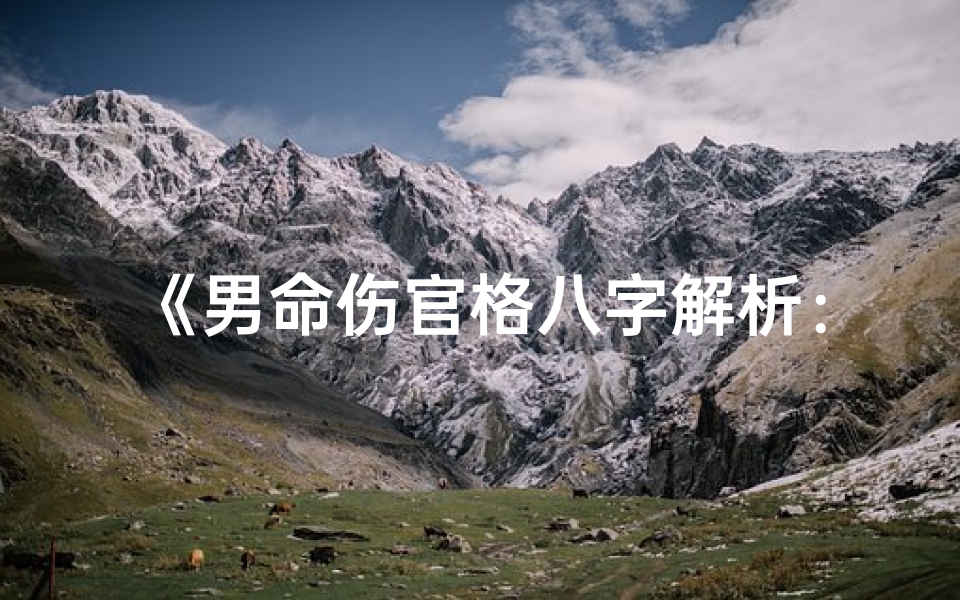 《男命伤官格八字解析：命运起伏与人生智慧》