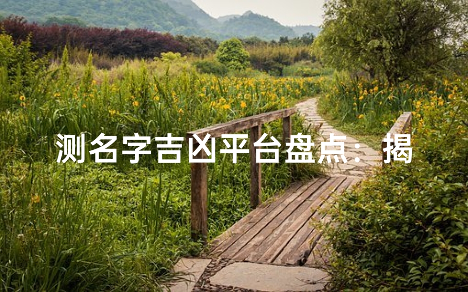 测名字吉凶平台盘点：揭秘热门取名工具