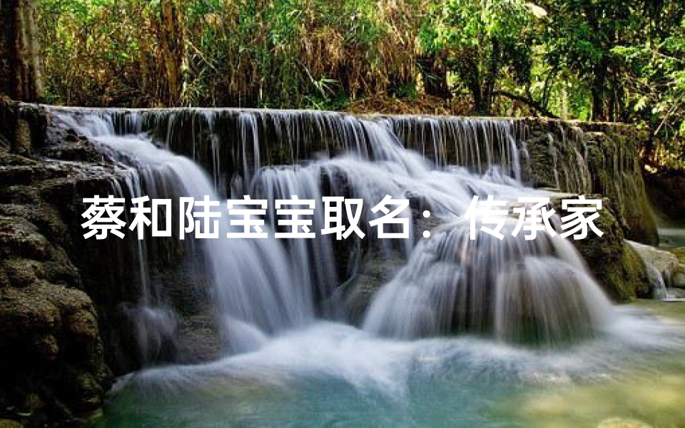 蔡和陆宝宝取名：传承家风，智慧启航