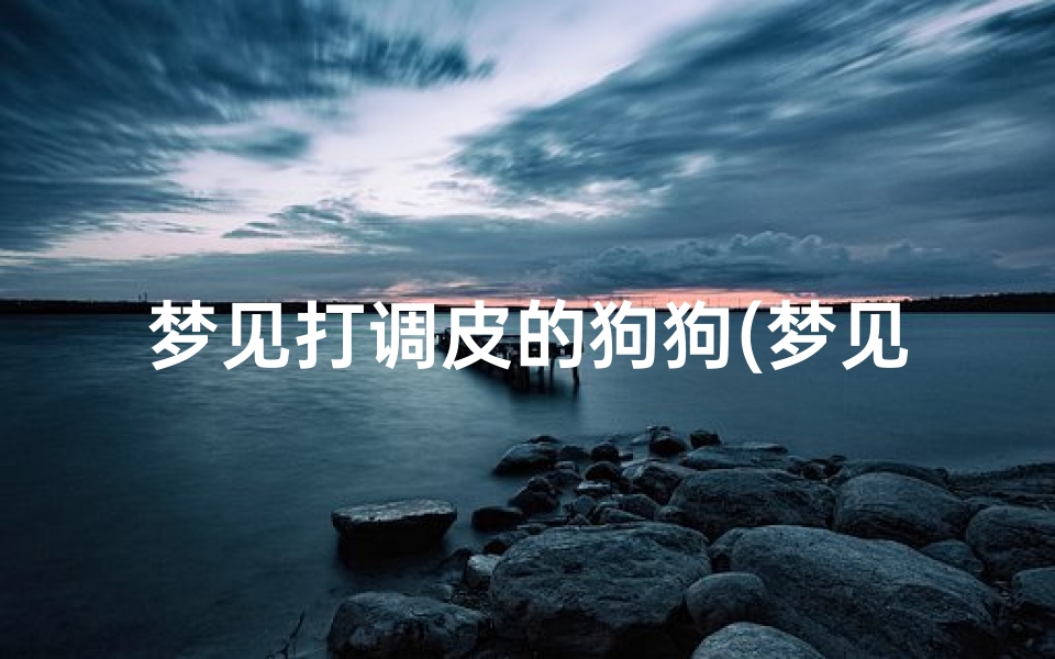 梦见打调皮的狗狗(梦见我打狗)