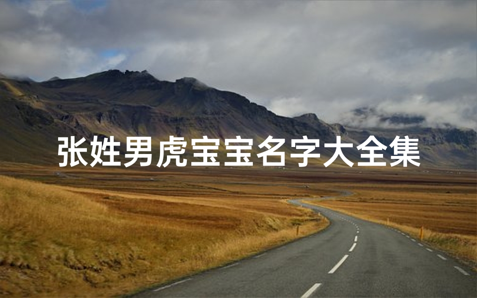 张姓男虎宝宝名字大全集