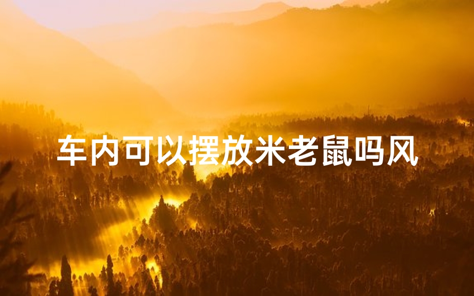 车内可以摆放米老鼠吗风水