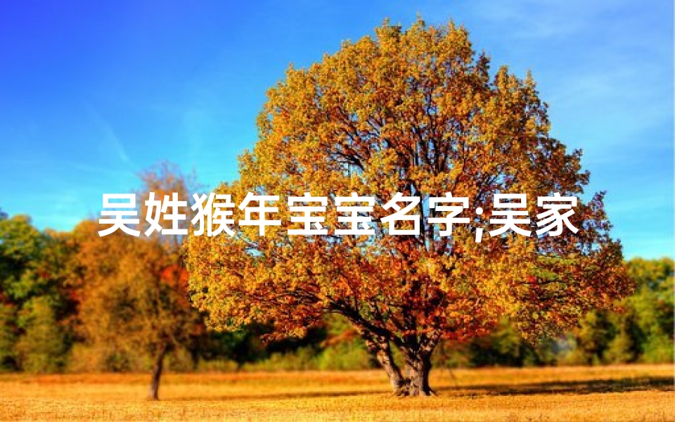 吴姓猴年宝宝名字;吴家猴宝宝，喜庆迎新春，吉祥如意满人间