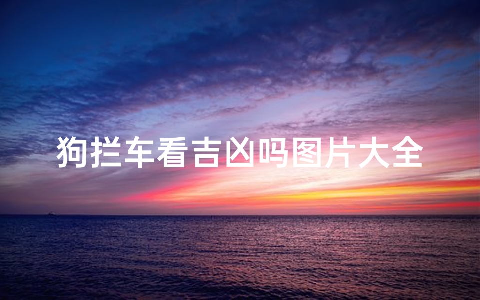 狗拦车看吉凶吗图片大全集(狗拦车看吉凶？图片大全揭秘神奇瞬间)