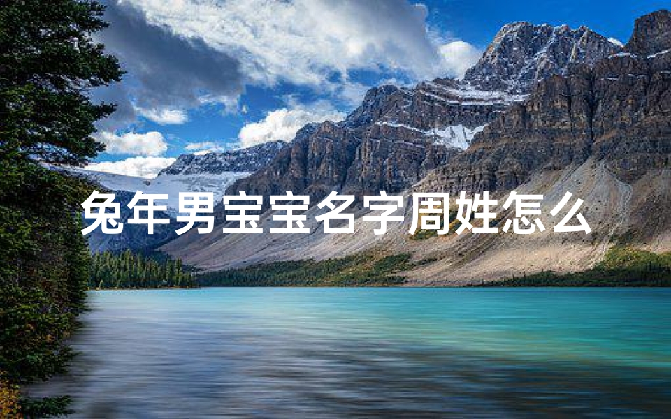 兔年男宝宝名字周姓怎么取;周姓男宝宝牛年名字