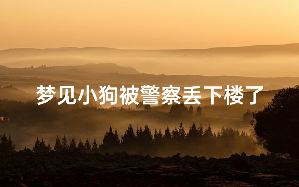 梦见小狗被警察丢下楼了,梦见小狗被偷但又抢回来