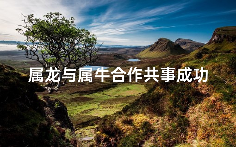 属龙与属牛合作共事成功吗-属龙与属牛合作共事成功吗好吗