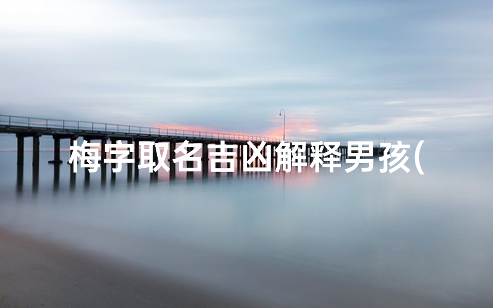 梅字取名吉凶解释男孩(梅字取名字大全)