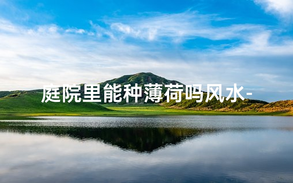 庭院里能种薄荷吗风水-庭院风水：薄荷种植宜忌解析
