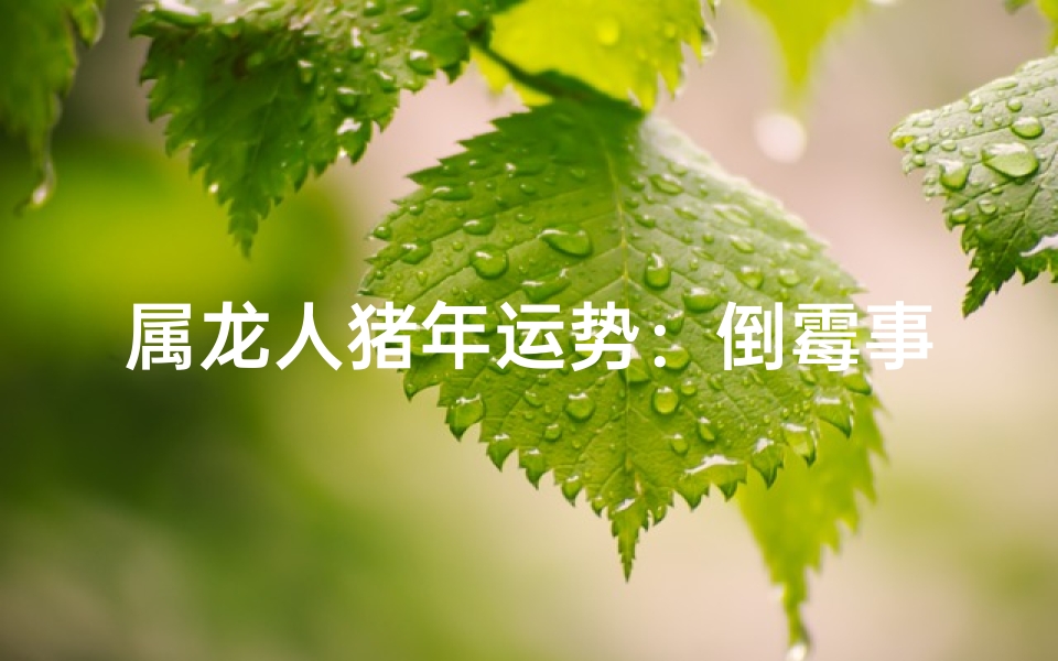属龙人猪年运势：倒霉事连连，小心应对