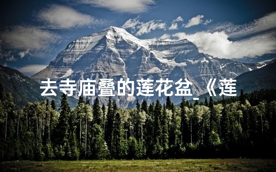 去寺庙叠的莲花盆_《莲花盆香溢寺庙，祈福之旅心向往》