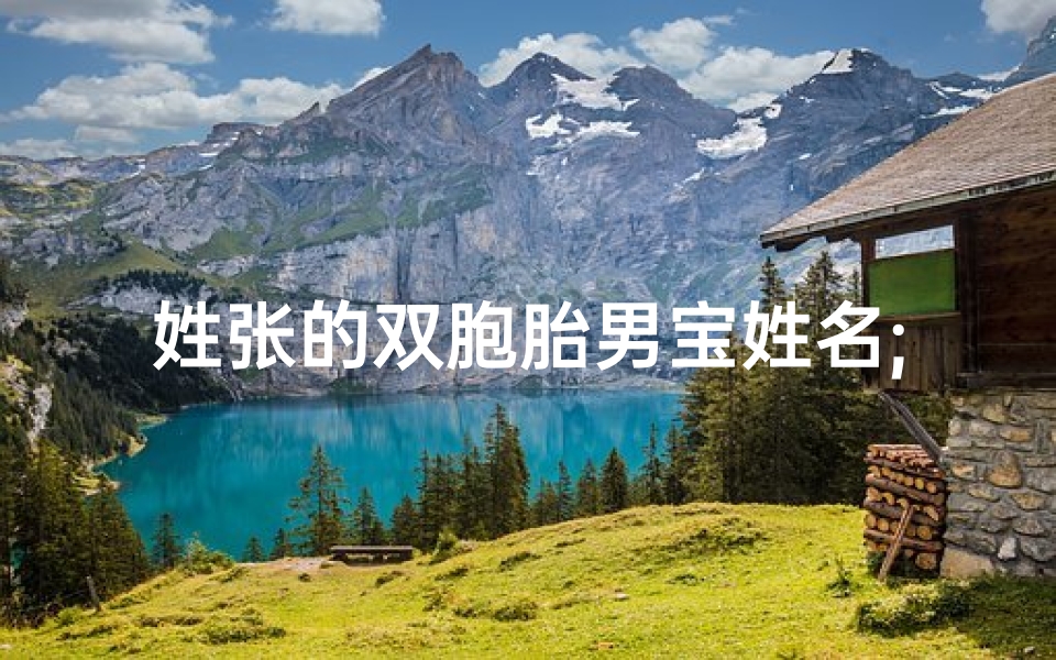 姓张的双胞胎男宝姓名;张氏双胞胎宝宝，寓意吉祥的名字揭晓