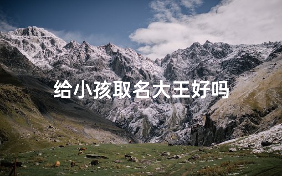 给小孩取名大王好吗