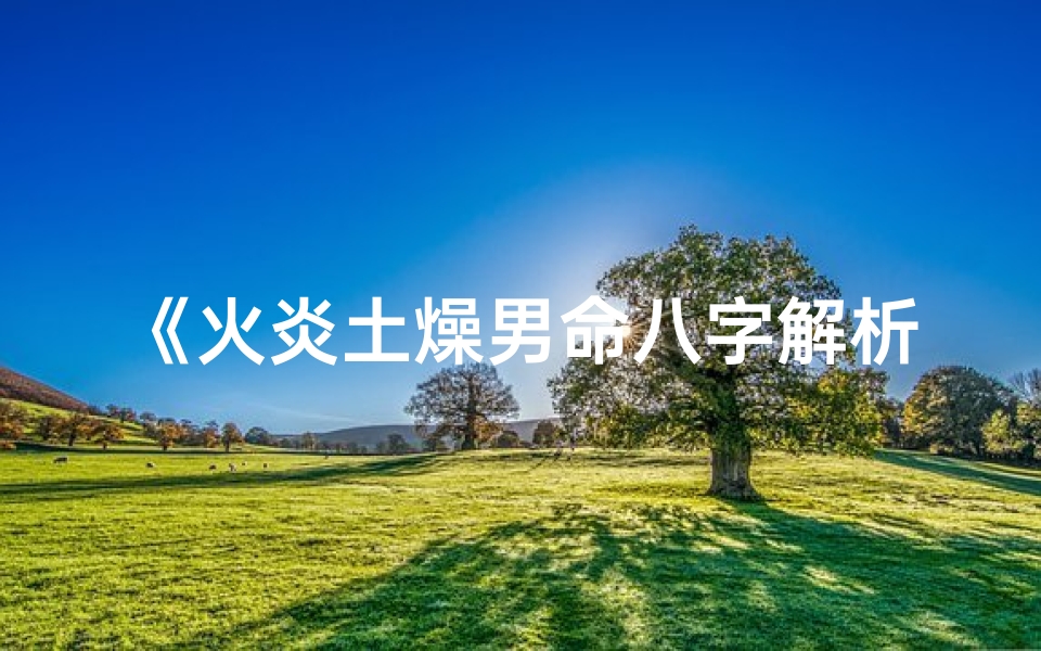 《火炎土燥男命八字解析：五行平衡之道》