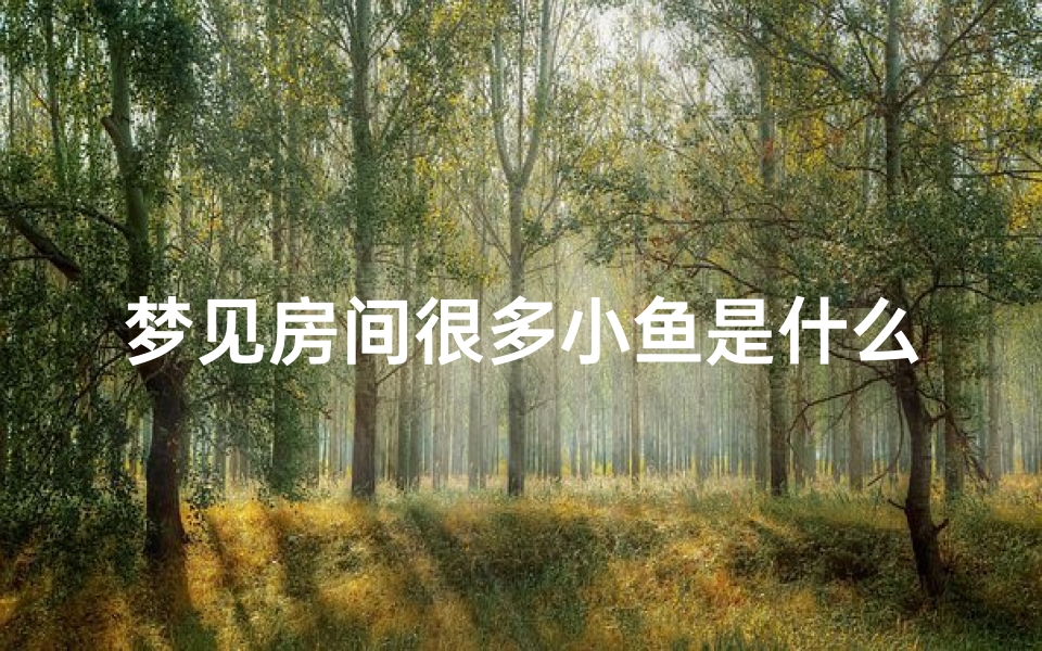 梦见房间很多小鱼是什么预兆(梦见房间很多小鱼是什么预兆周公解梦)