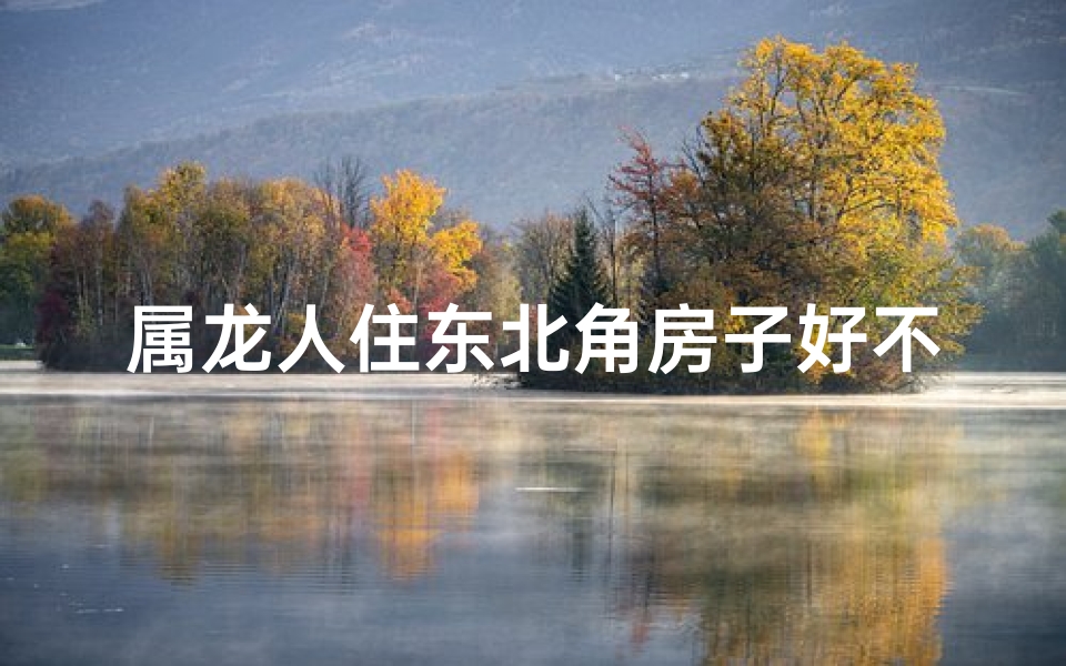 属龙人住东北角房子好不好,属龙住东户还是西户